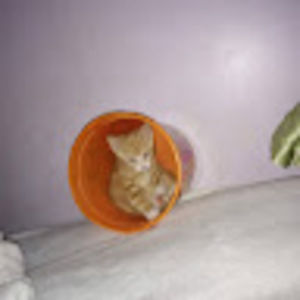 Meet your Posher, Jade